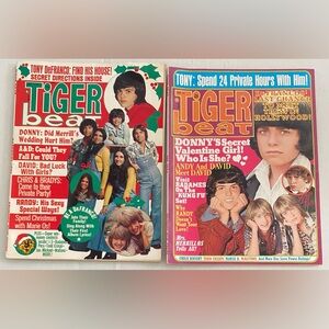 Vintage 70s Tiger Beat Teen Magazine Lot
